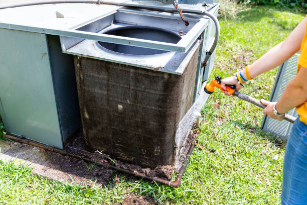 Best Air Duct Mold Removal  in Tuckerton, NJ
