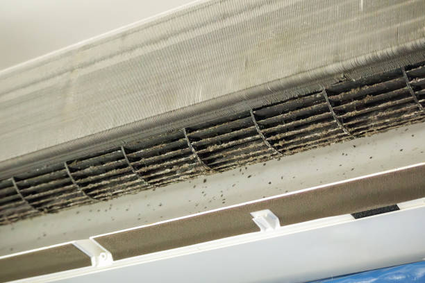 Best Air Duct Cleaning Near Me  in Tuckerton, NJ